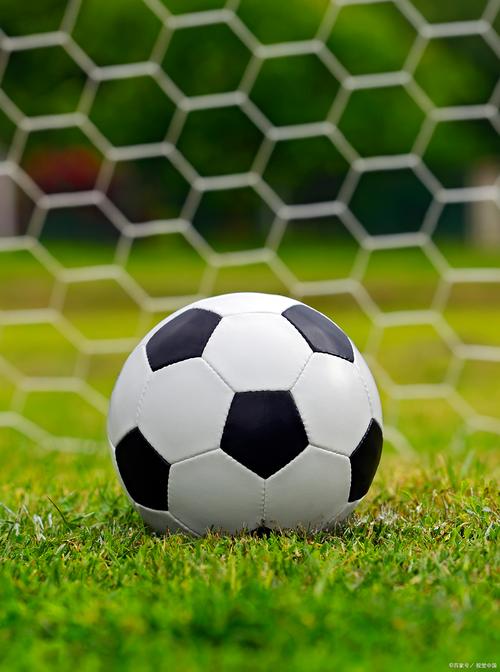 站群服务器搭建多台vps